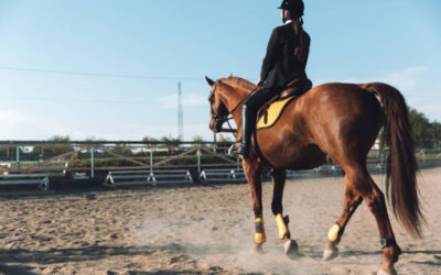 TriState Dressage Show II