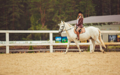 TriState Dressage Show