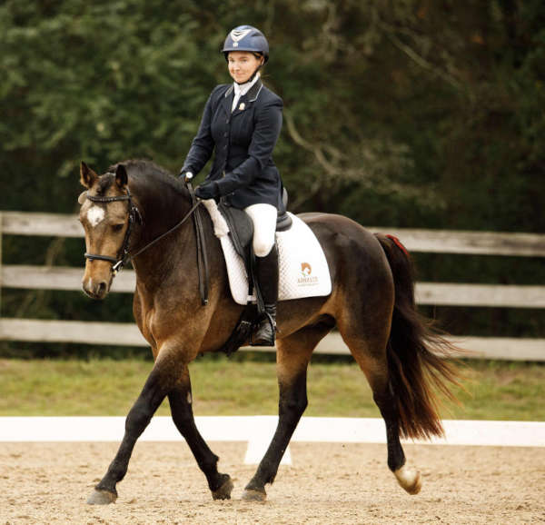 horse-riding-dressage-practice A person in formal equestrian attire rides a dark brown horse with a white-marked face in a sandy arena, with a wooden fence and trees in the background.