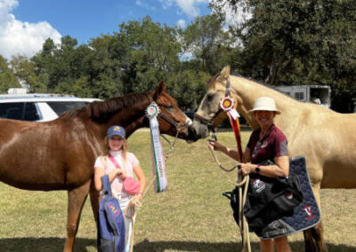 horse_show_winners_with_ribbons Two people stand outdoors holding horses with award ribbons. A girl in a pink cap and a woman in a wide-brim hat smile, each holding a horse. Trees and blue sky are visible in the background.