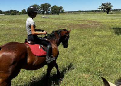horseback-riding-in-green-field A person wearing a helmet rides a dark brown horse with a red saddle across a grassy field under a clear blue sky. Another horse is partially visible in the foreground. Trees are scattered in the distance.