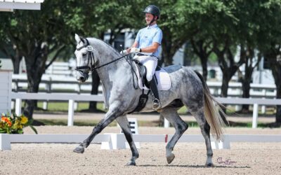 John Mason Dressage Clinic